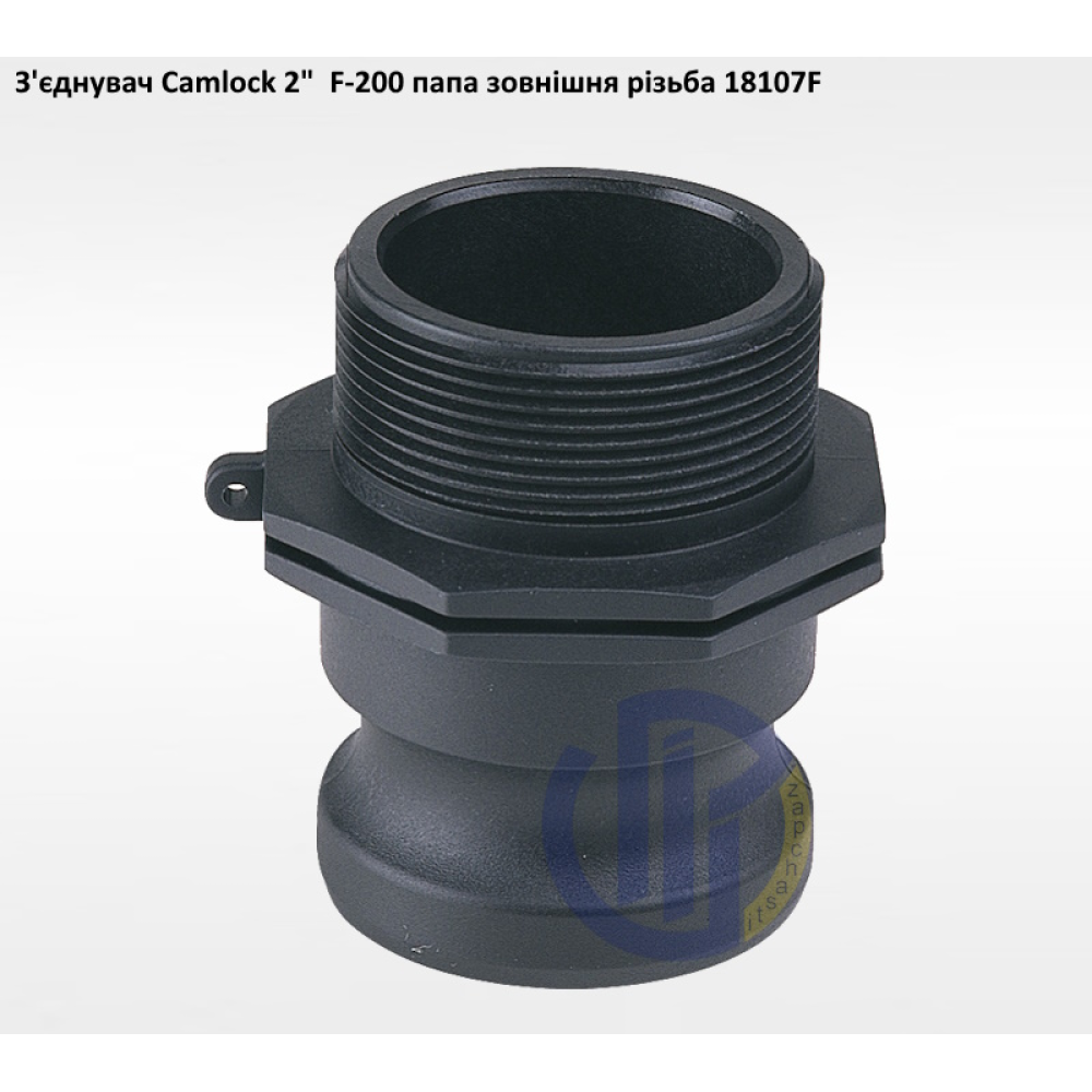 2" з'єднувач Camlock 2" F-200 папа зонішня різьба