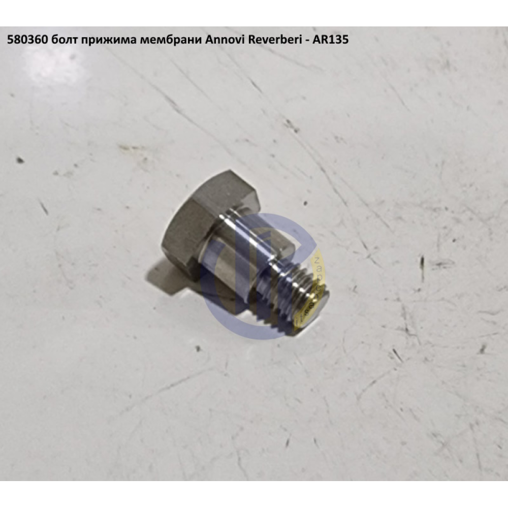 AR135 болт кріплення мембрани Annovi Reverberi 580360