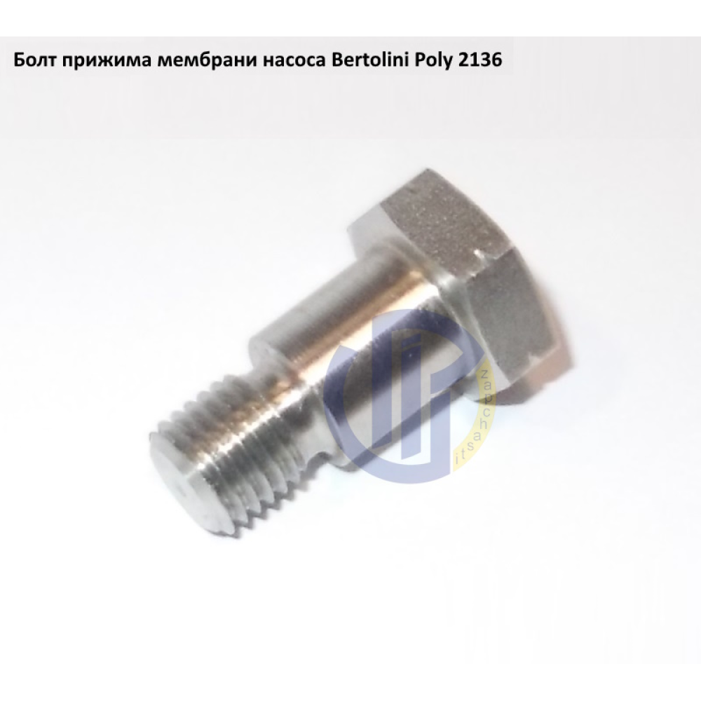 Poly 2136 болт мембрани насоса Bertolini