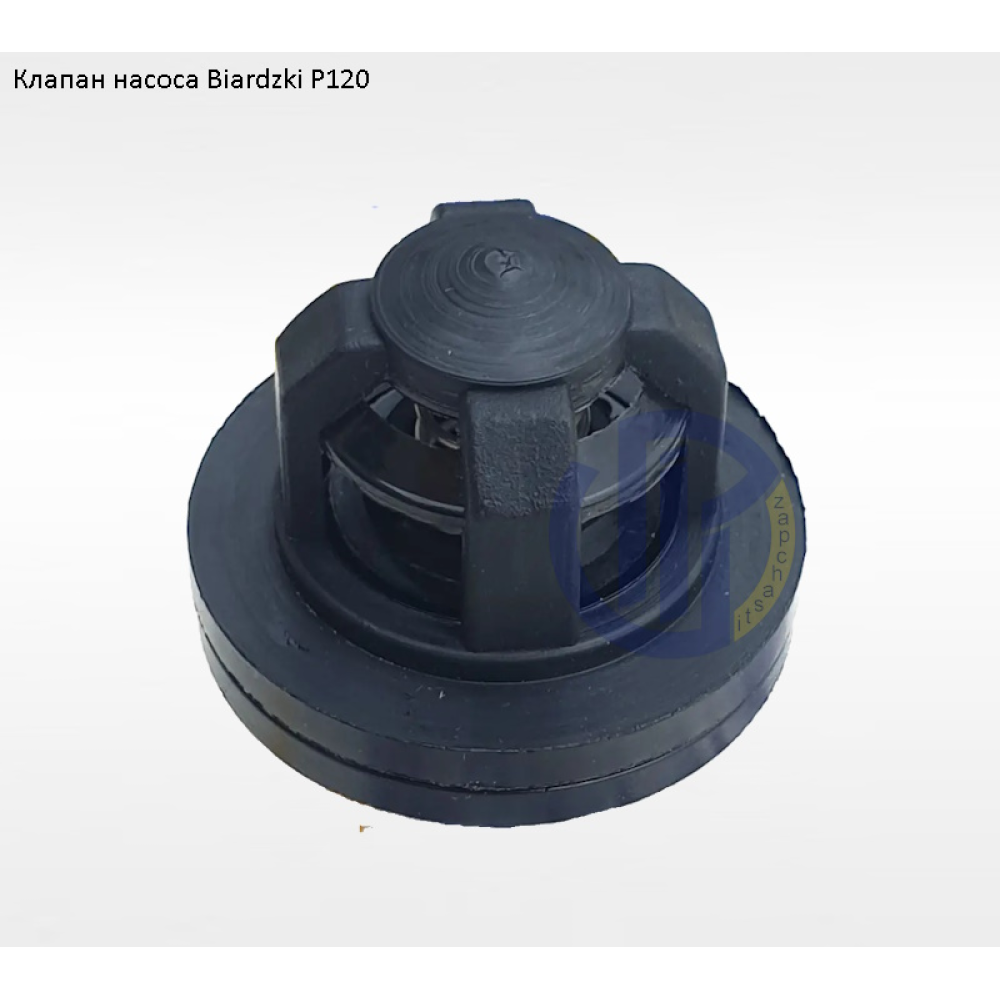 Клапан насоса Biardzki P120