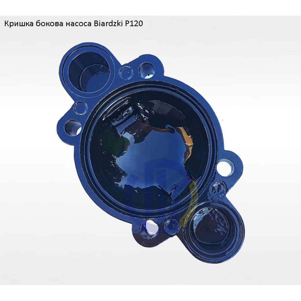 Кришка бокова насоса Biardzki P120