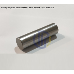 BP151K палець поршня насоса Comet BP171K, BP205K, BP235K, BP280K 30110001