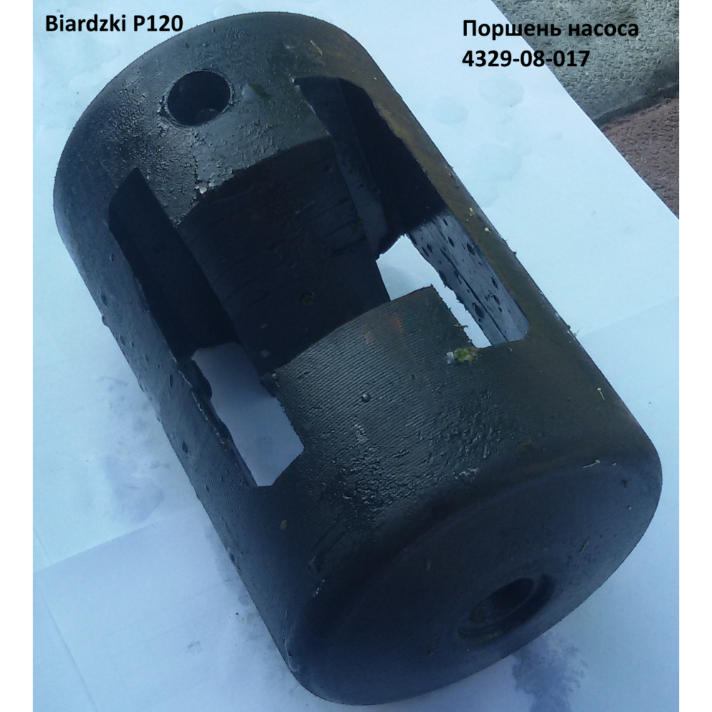 Поршень насоса P120 Biardzki