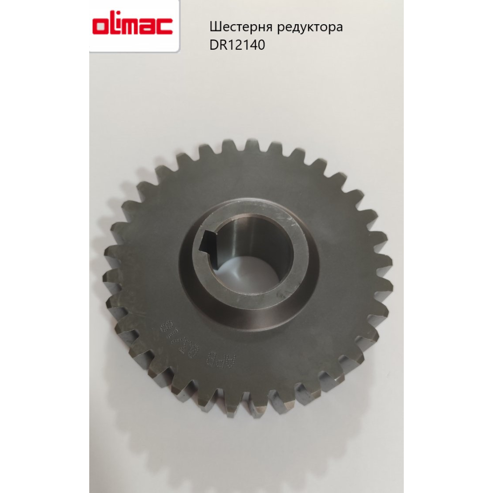 Шестірня циліндрична редуктора подрібнювача Olimac Drago, DR12140