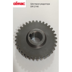 Шестірня циліндрична редуктора подрібнювача Olimac Drago, DR12140