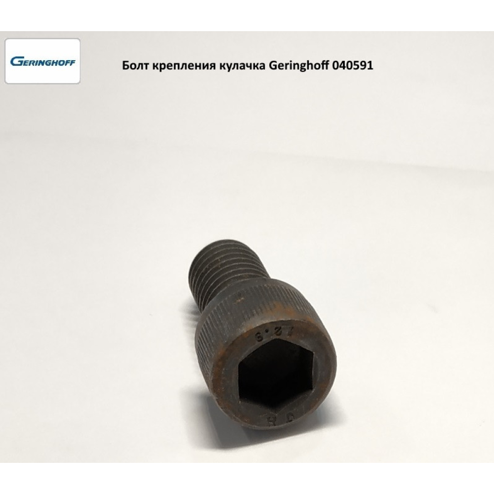 Болт кріплення кулачка Geringhoff 040591 аналог М14х25 12,9