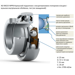 D41713300 підшипник Massey Ferguson RAE25RRB SKF