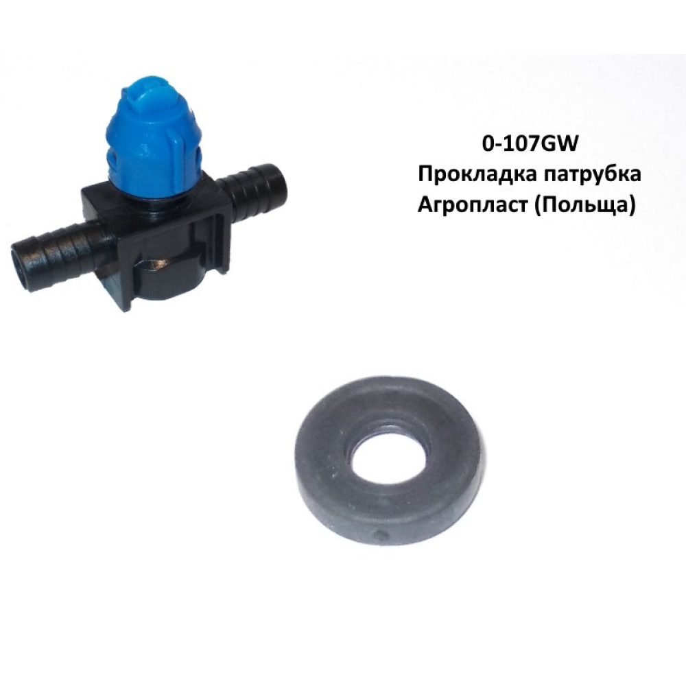 Винт крепления клапанов форсунки 0-10607 Agroplast