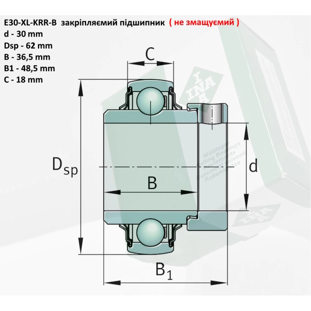 E30KRRB підшипник (не змащуваний) INA