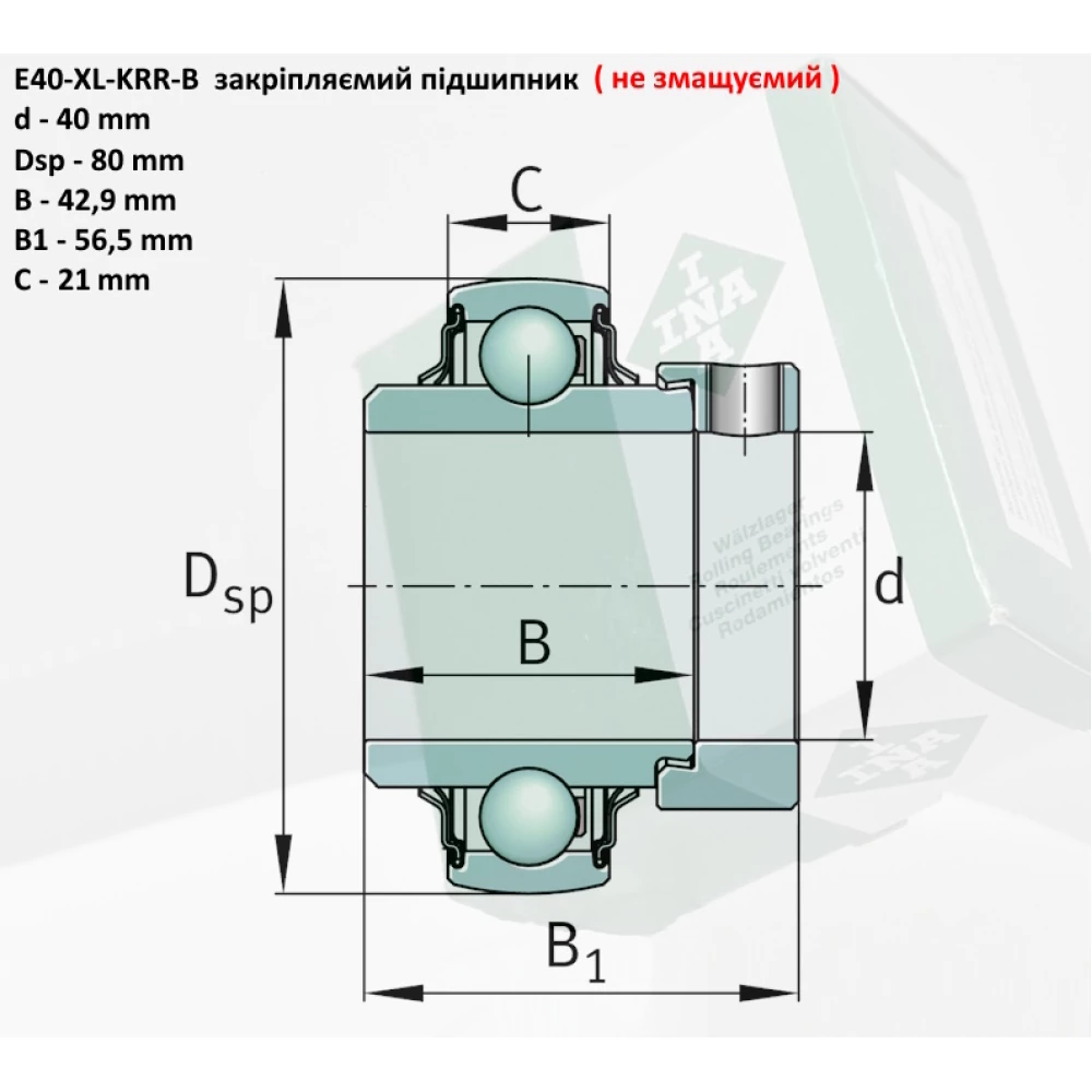 E40KRRB підшипник (не змащуваний) INA