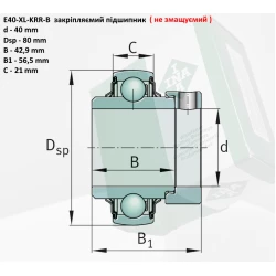 E40KRRB підшипник (не змащуваний) INA