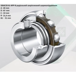 GRAE 20 NPPB підшипник INA-Германія 20х47х31