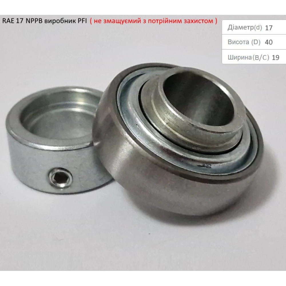 RAE 17 NPPB підшипник PFI-США (не змащуємий - з посиленим захистом)