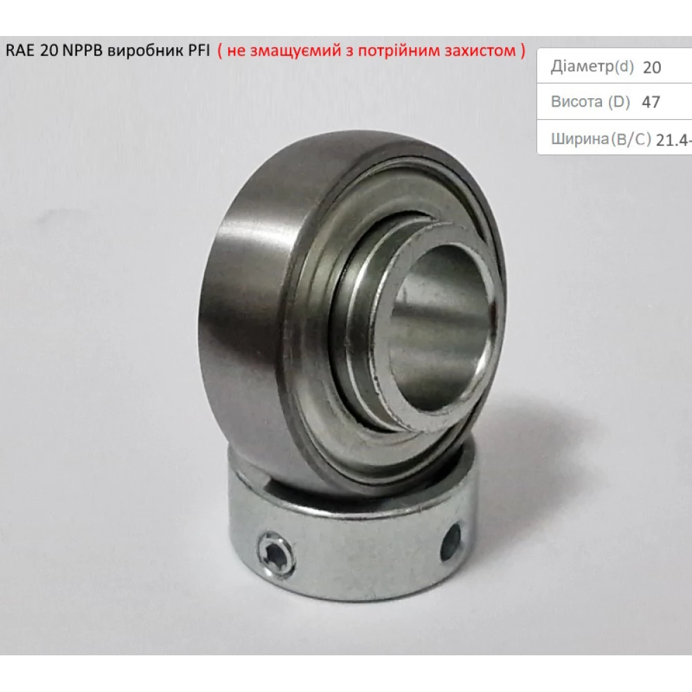 RAE 20 NPPB підшипник PFI-США (не змащуємий - з посиленим захистом)
