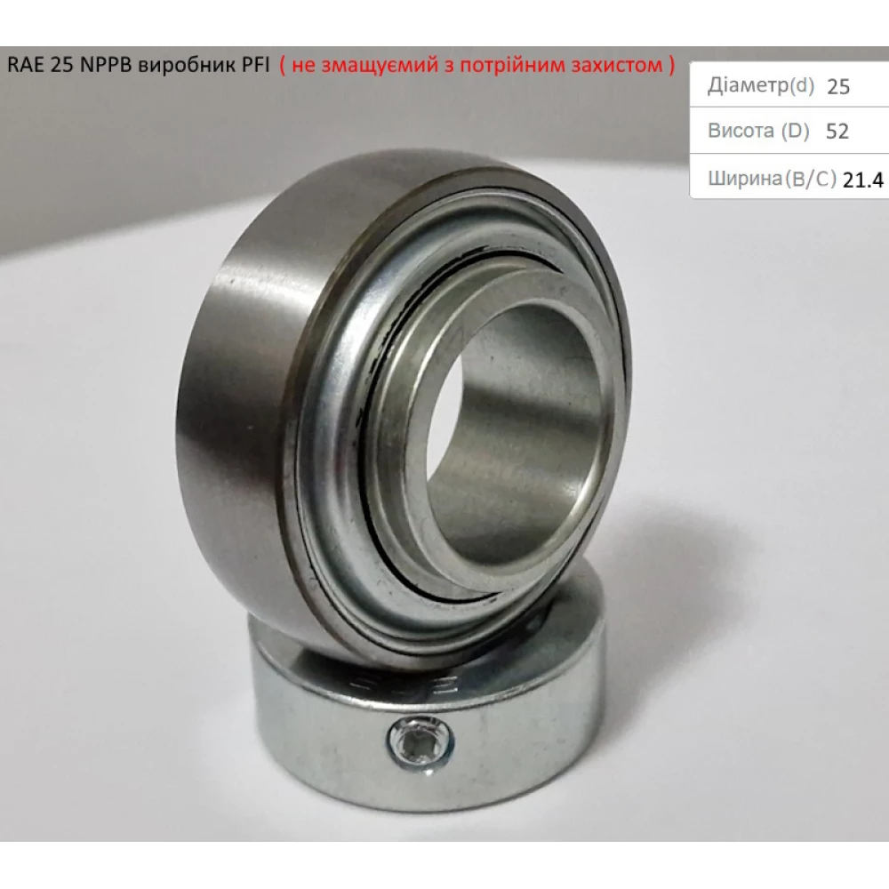 RAE 25 NPPB підшипник PFI-США (не змащуємий - з посиленим захистом)