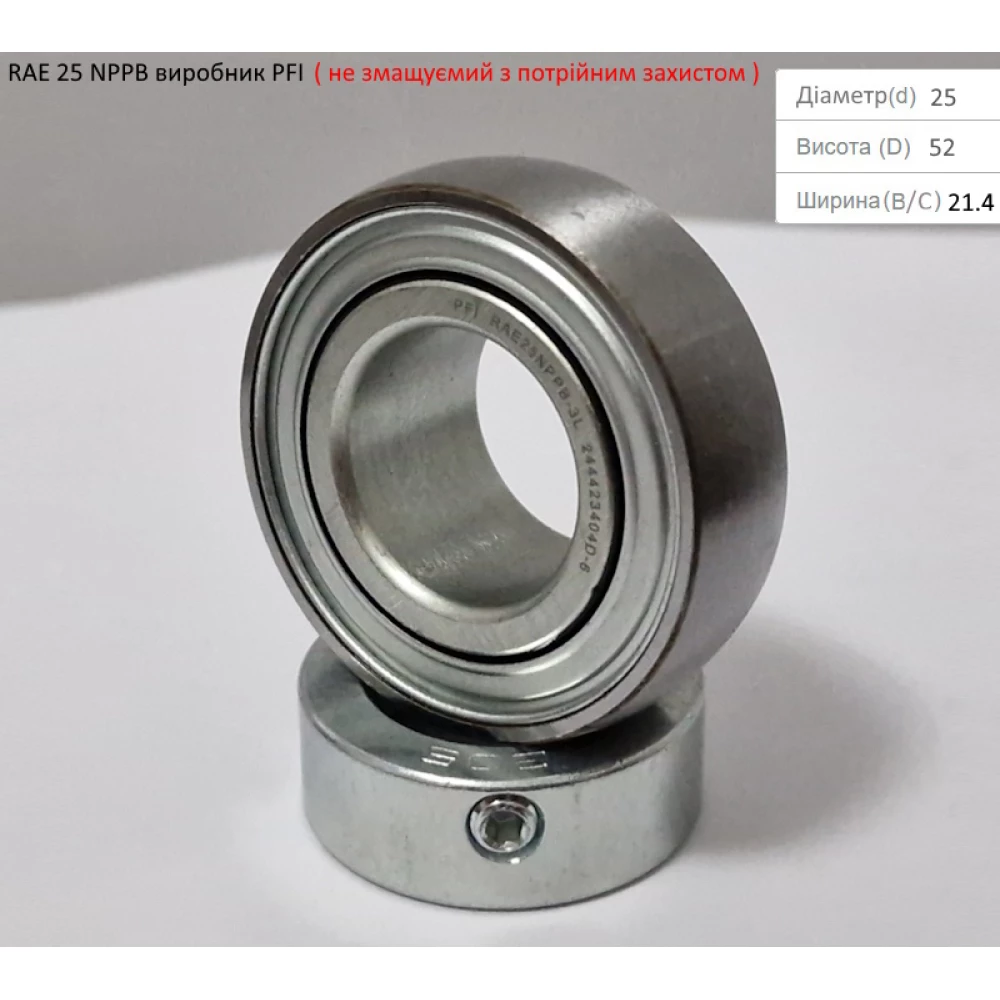 RAE 25 NPPB підшипник PFI-США (не змащуємий - з посиленим захистом)