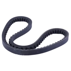 Паси клинові