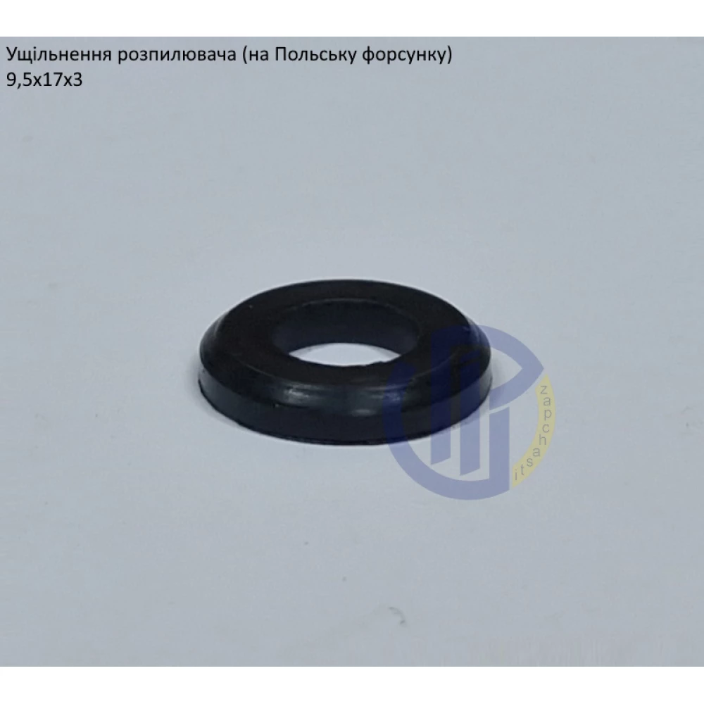 Ущільнення розпилювача Польша