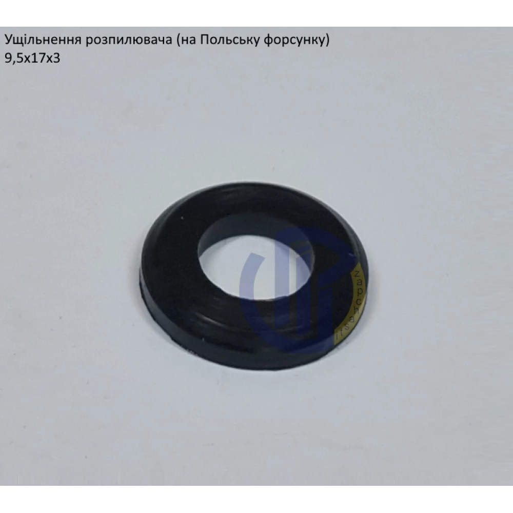Ущільнення розпилювача Польша