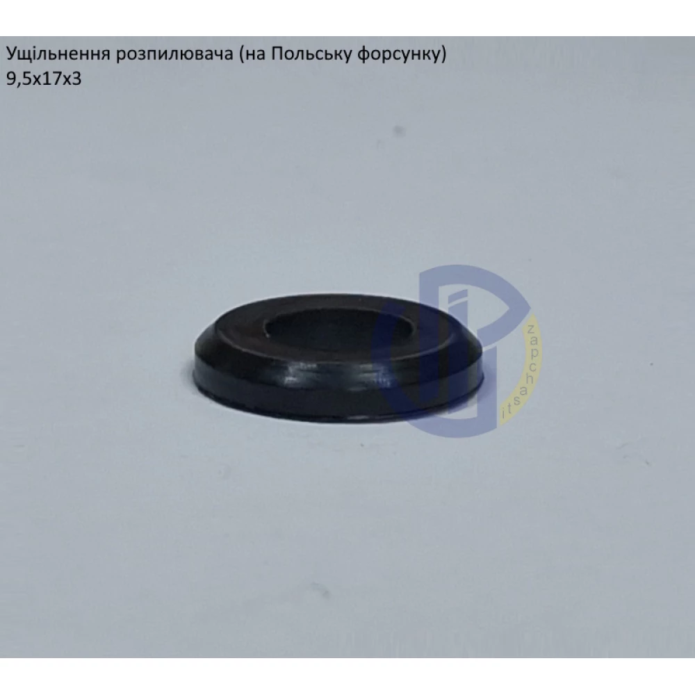 Ущільнення розпилювача Польша