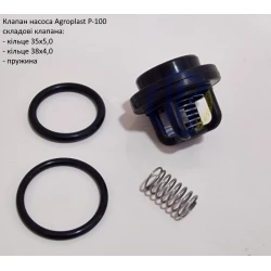 Клапан насоса Р-100 Agroplast (комплект)