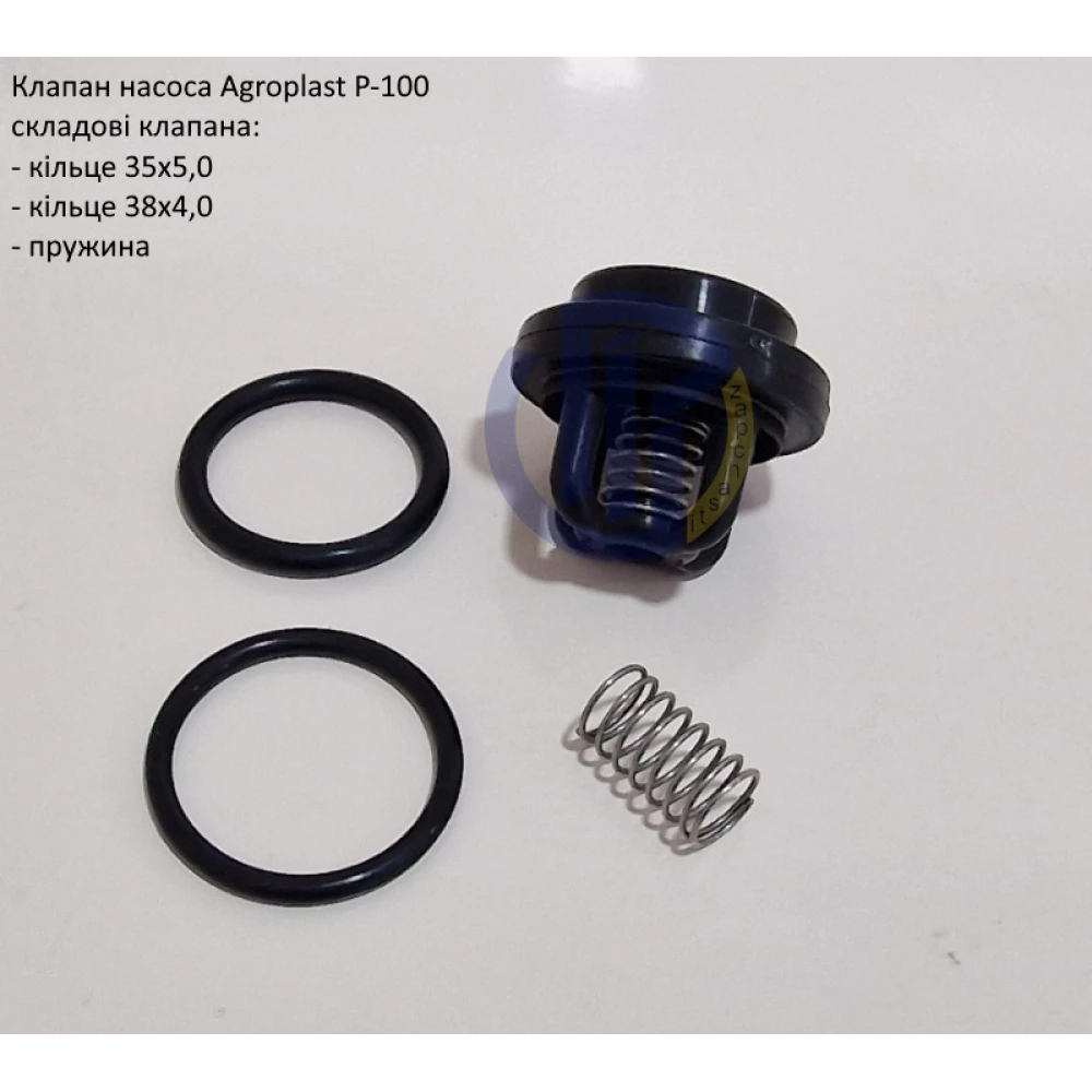Клапан насоса Р-100 Agroplast (комплект)