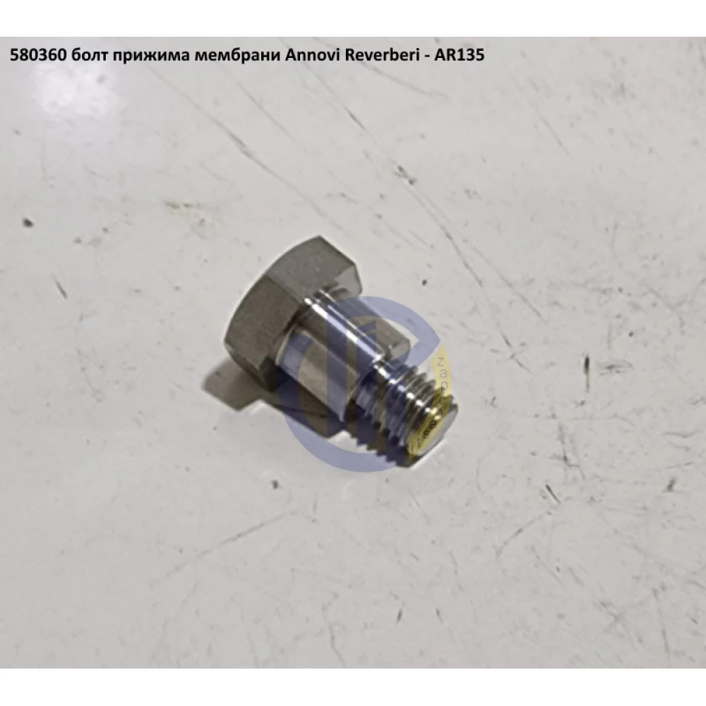 AR135 болт кріплення мембрани Annovi Reverberi 580360