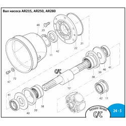 AR280 підшипник вала Annovi Reverberi 751280 AR215, AR250