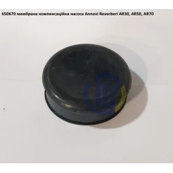 AR30 мембрана компресійна Annovi Reverberi​​​​​​​ 650670 AR50, AR70