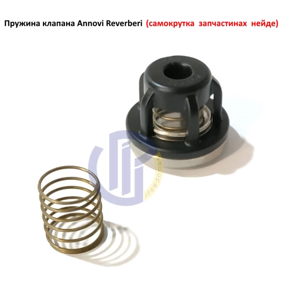  Пружина клапана насоса Annovi Reverberi AR135, AR160, AR185, AR215, AR250, AR280