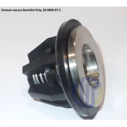  Клапан насоса Bertolini  Poly 2136 28.9809.97.3