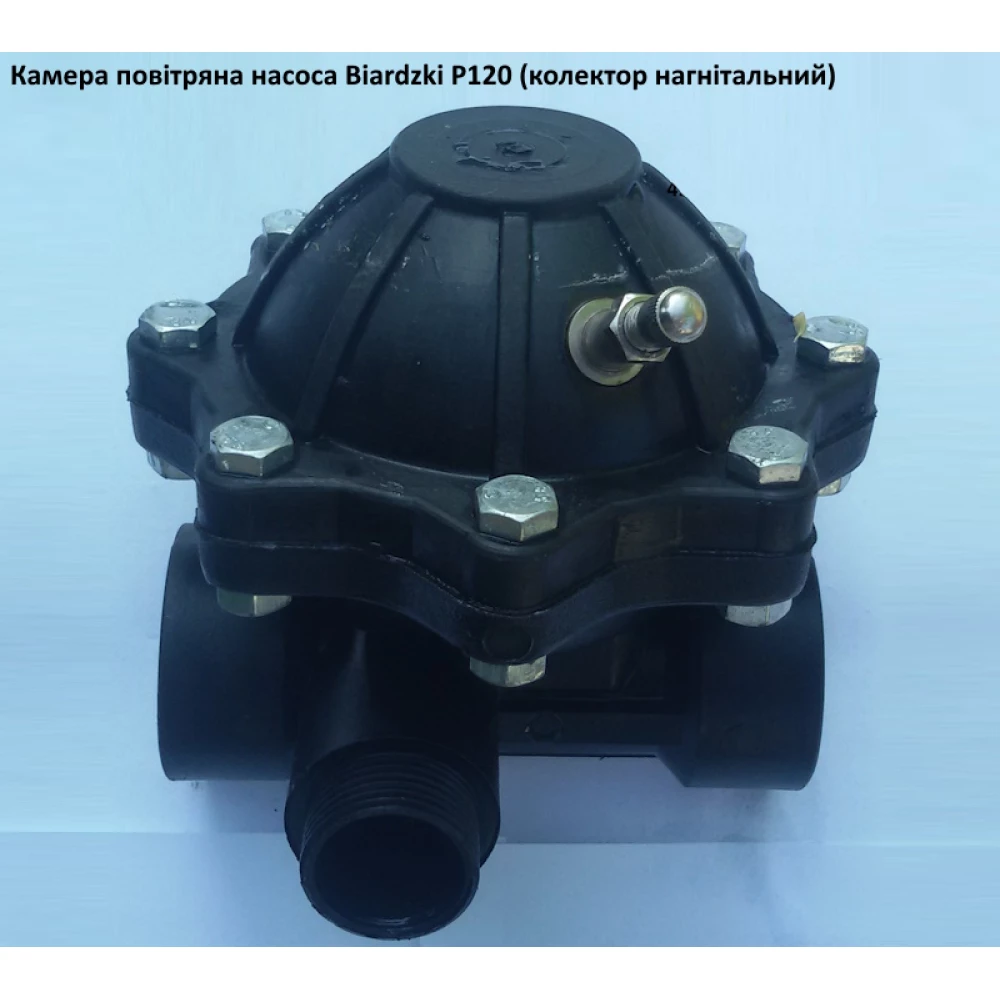 Кришка повітряної камери насос Biardzki P120