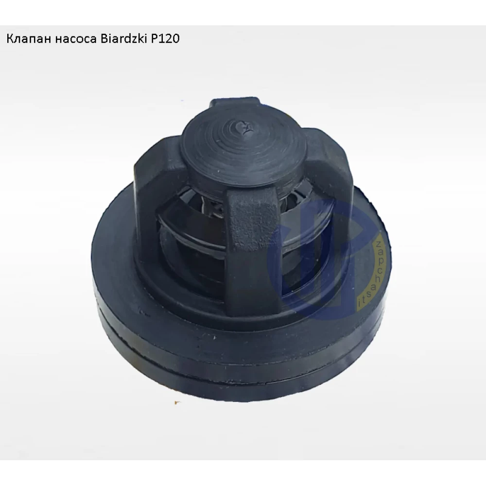 Клапан насоса Biardzki P120