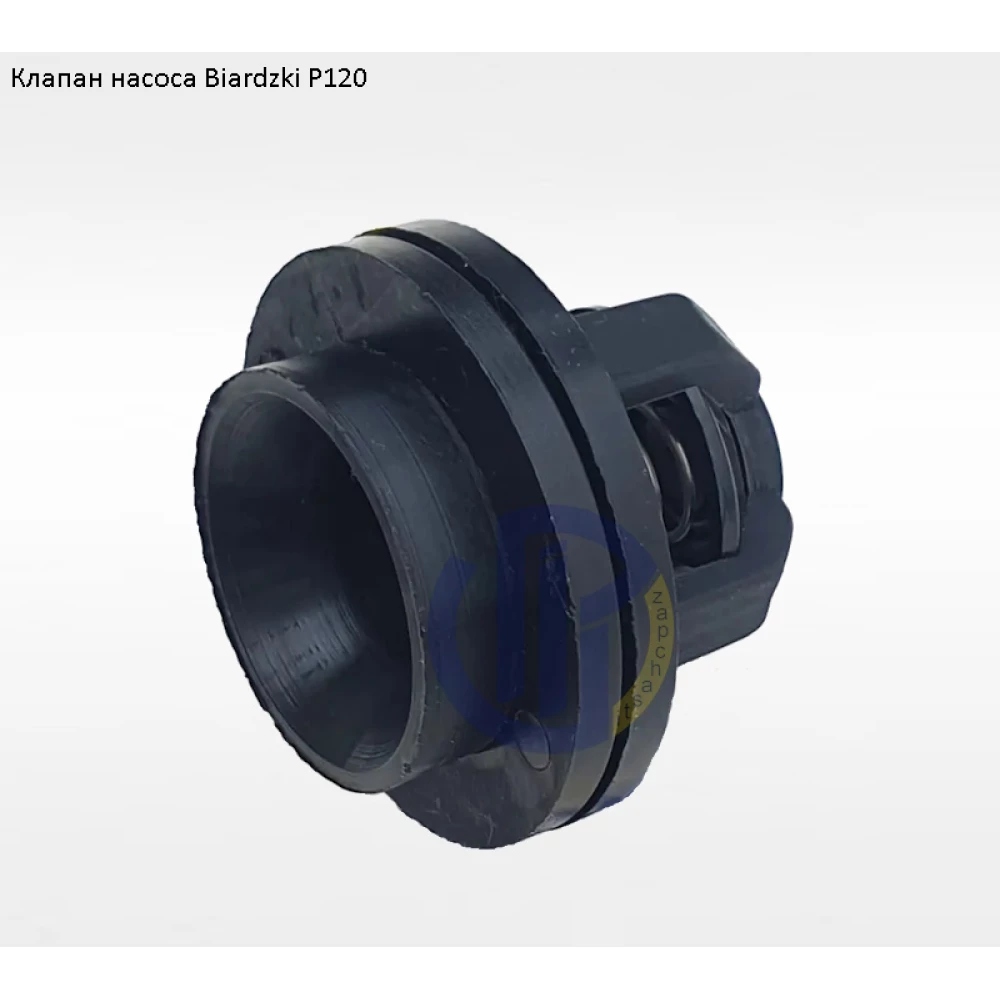 Клапан насоса Biardzki P120