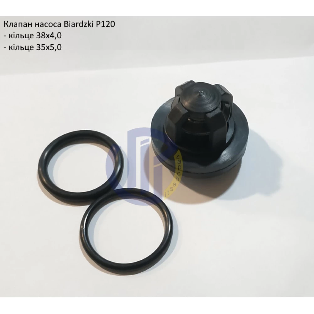 Клапан насоса з кільцями Biardzki P120