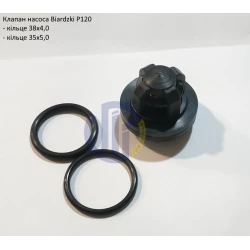 Клапан насоса з кільцями Biardzki P120