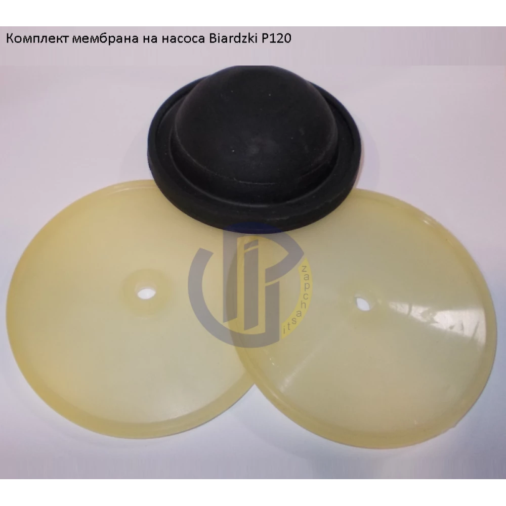 Мембрана насос (комплект) Biardzki P120