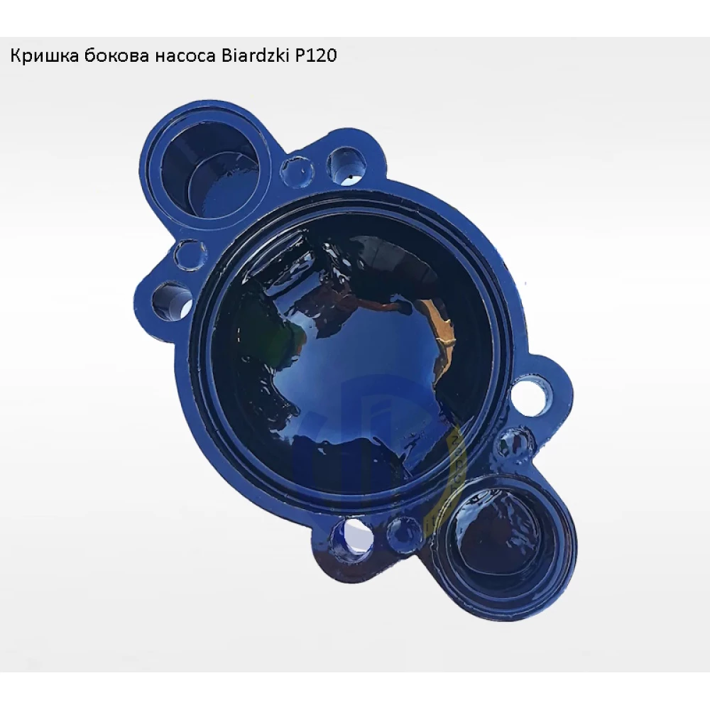 Кришка бокова насоса Biardzki P120