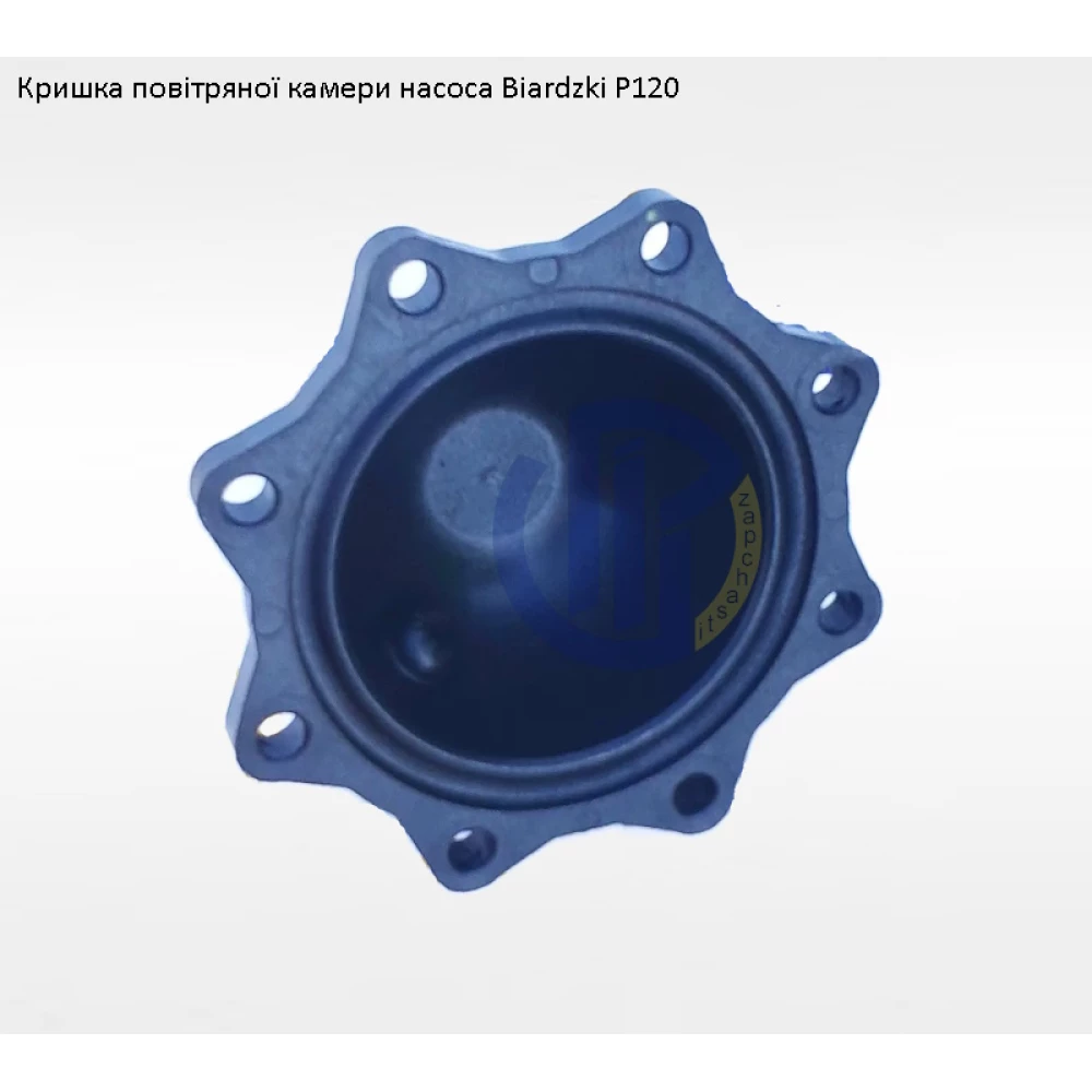 Кришка повітряної камери насос Biardzki P120