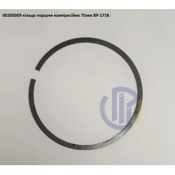 BP171K кільце поршня насоса Comet BP280K 00200009