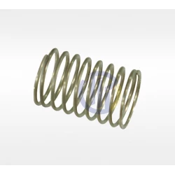 BP171K пружина клапана d-11 h-17 Comet 18020015