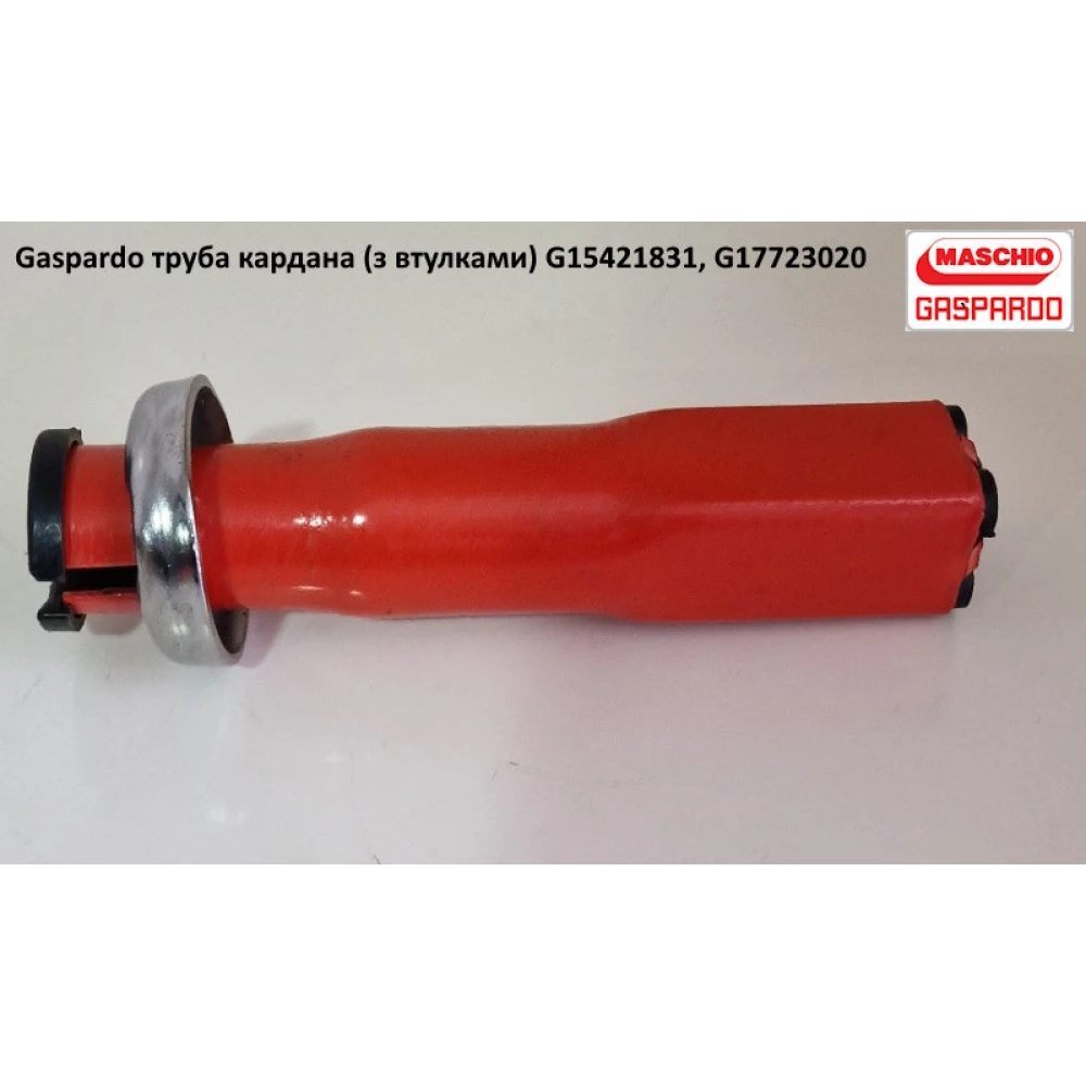 Штифт запобіжний (пластиковий) Gaspardo G66248057