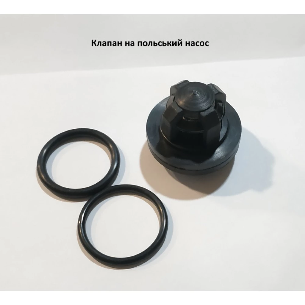 Клапан насоса P120 Biardzki