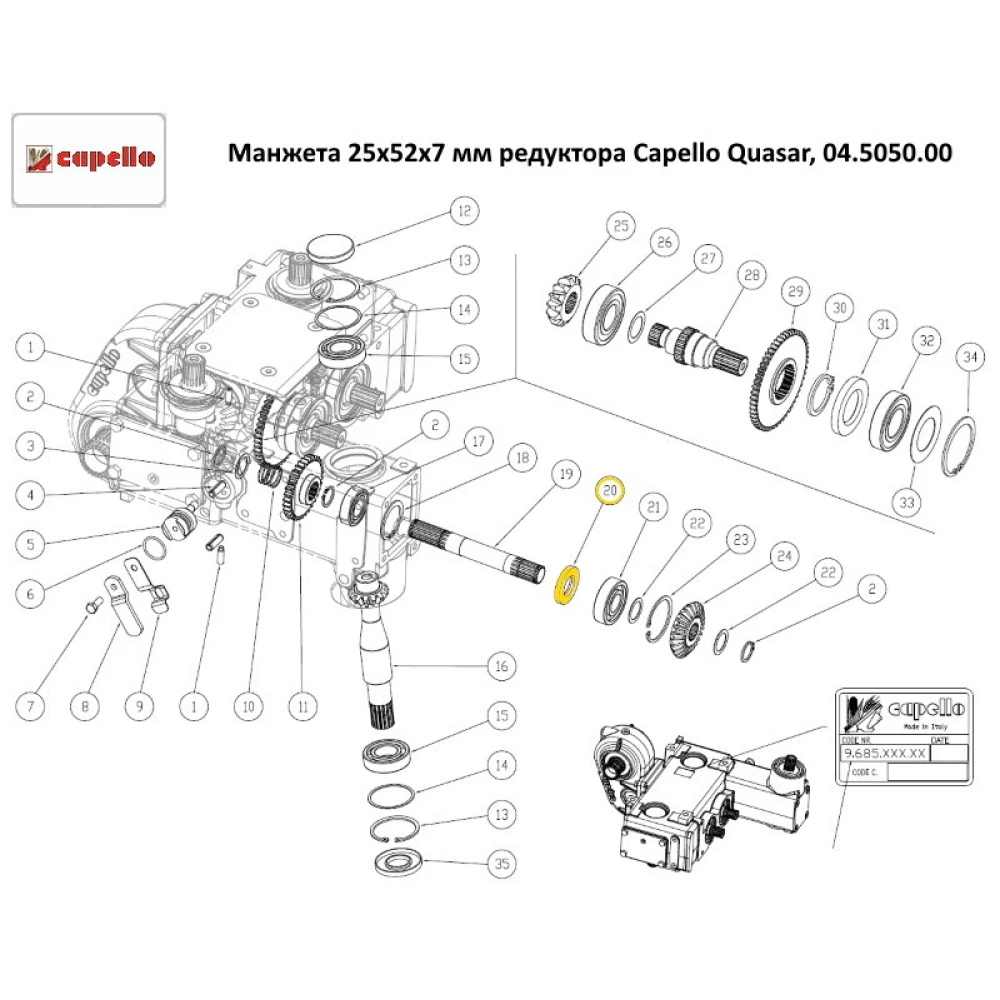 Манжета 25х52х7 мм редуктора Capello Quasar, 04.5050.00