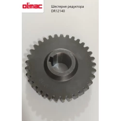 Шестірня циліндрична редуктора подрібнювача Olimac Drago, DR12140 Шестірня циліндрична редуктора подрібнювача Olimac Drago, DR12140