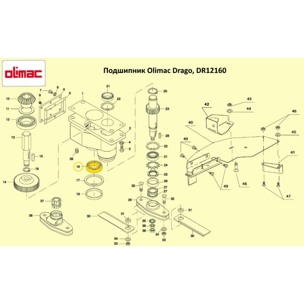 Підшипник Olimac Drago DR12160 аналог 6305