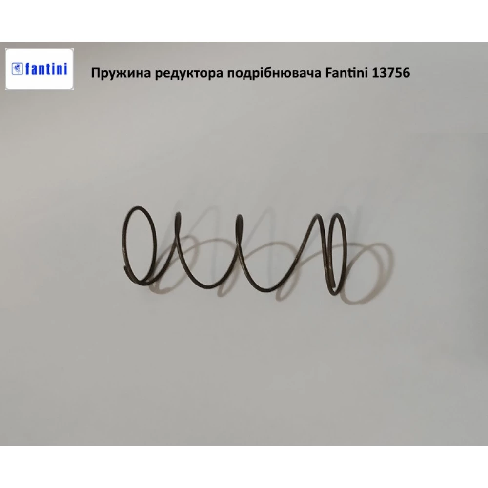 Пружина редуктора подрібнювача жатки Fantini, 13756