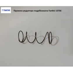 Пружина редуктора подрібнювача жатки Fantini, 13756