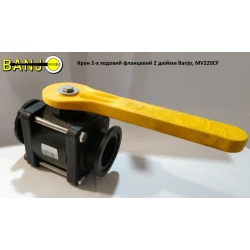 Кран 2-ходовий фланцевий 2 дюйми Banjo, MV220CF