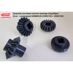 Комплект шестерней привода Gaspardo G20860126